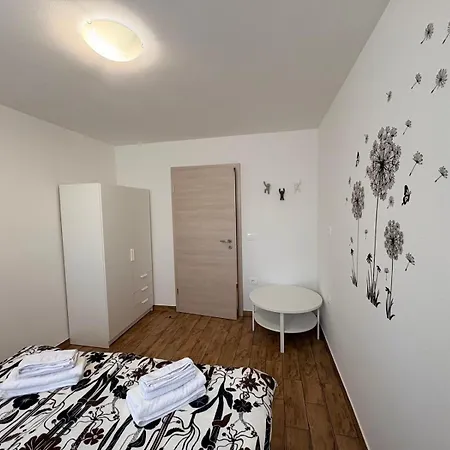 Apartma Zari * Marezige