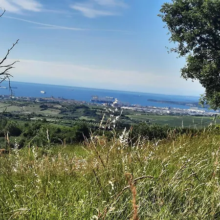 Apartma Zari * Marezige